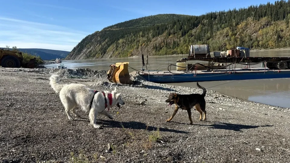 Fotr na tripu 10, Dawson City