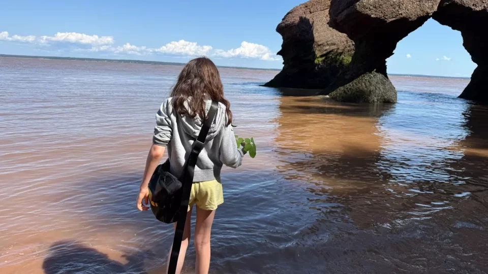 Fotr na tripu 10, Hopewell Cape