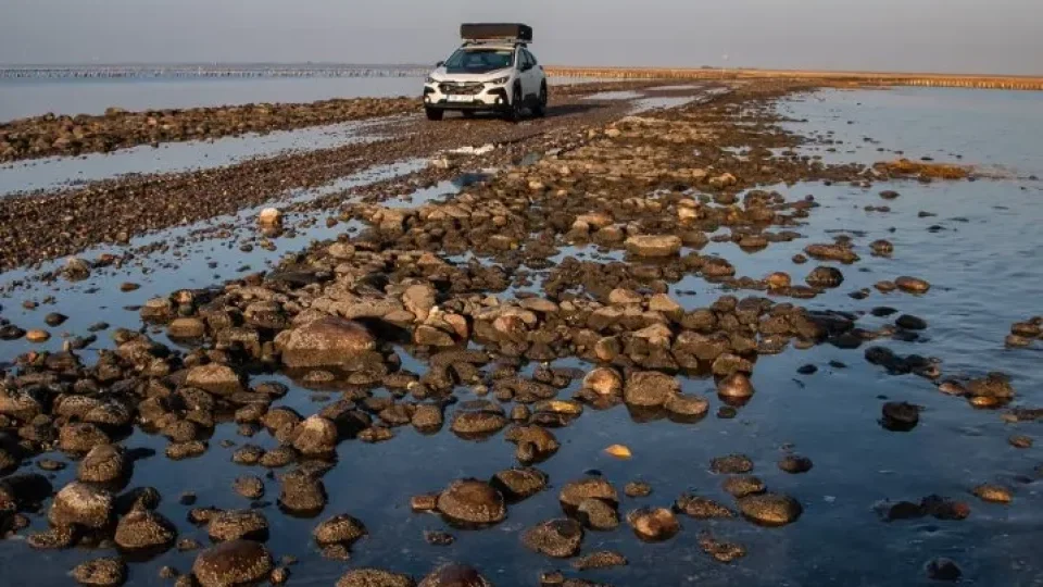 Subaru trip Dánsko, úvod