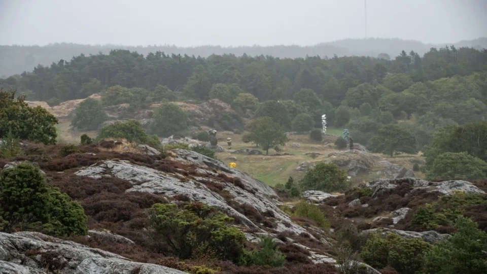 Trip Volvo 2026, Pilane