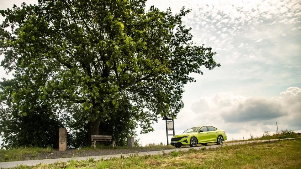 Škoda 130 let, Radostín a další RZ Bohemia Rally
