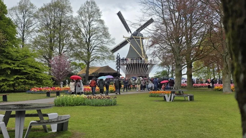 Keukenhof