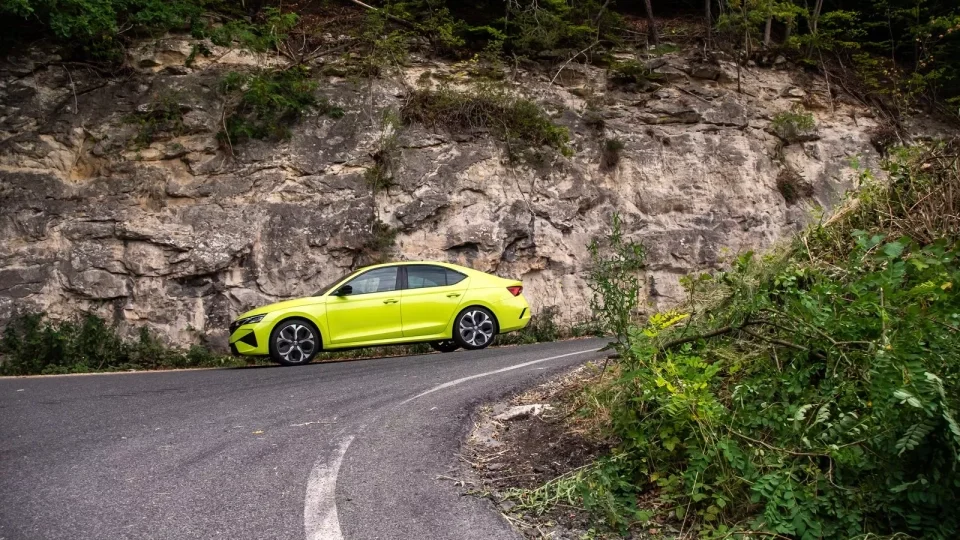 Škoda 130 let, Radostín a další RZ Bohemia Rally