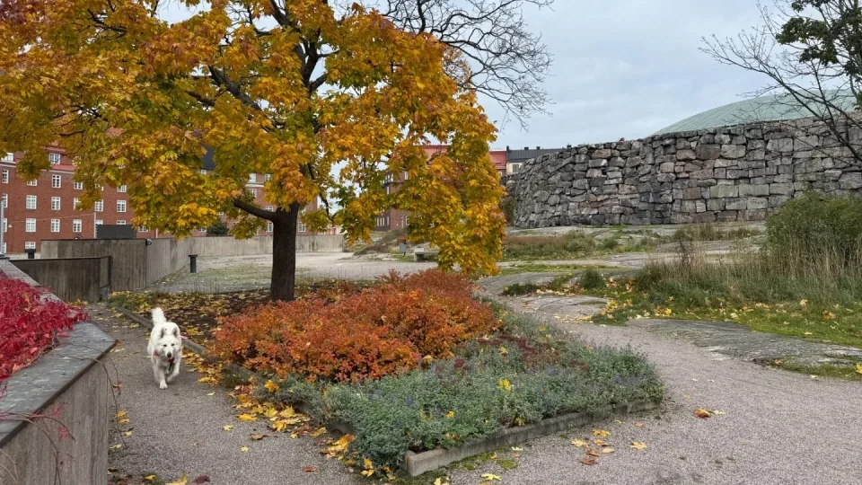 Fotr 11, Helsinky, Temppeliaukio Church