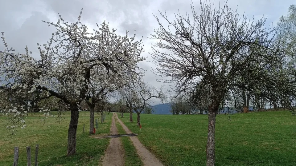 Česko, Podkrkonoší