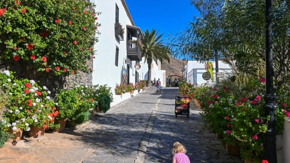 Fuerteventura, Kanárské ostrovy