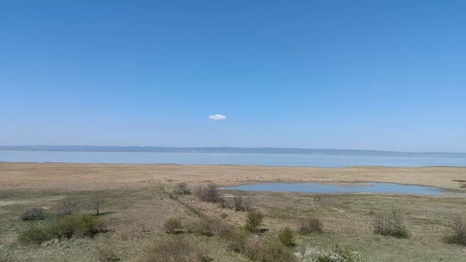 Neusiedler See