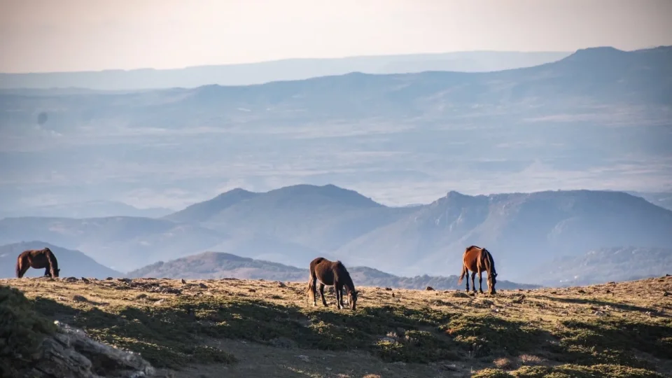 Dacia Bigster, trip Itálie, Bruncu Spina