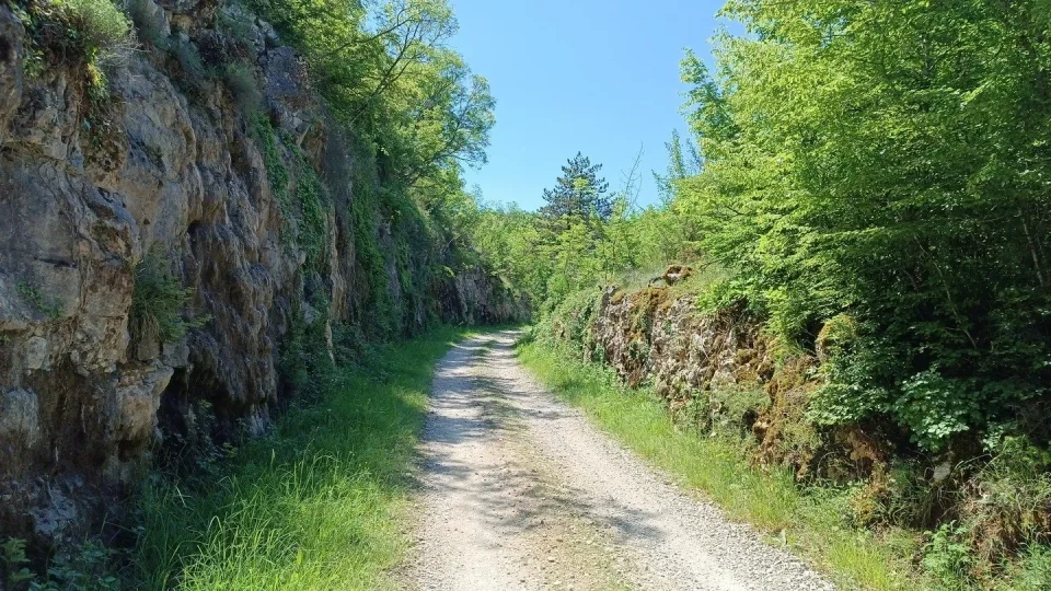 Parenzana II