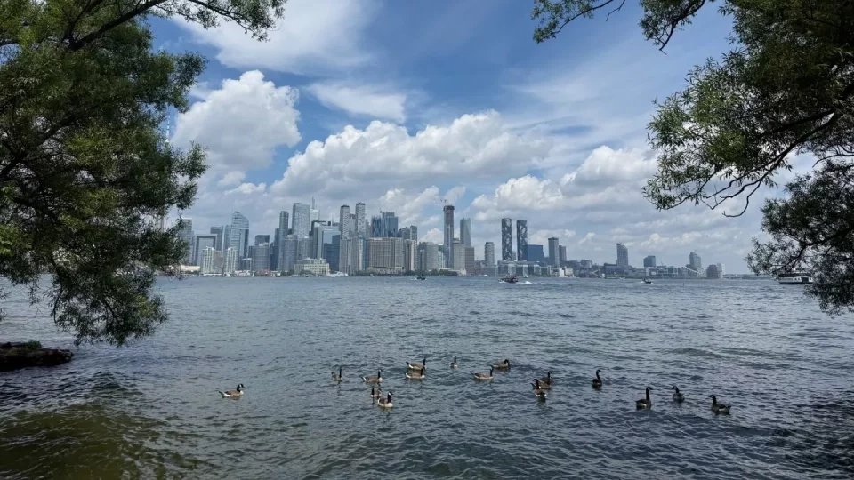 Fotr na tripu 10, Toronto Islands