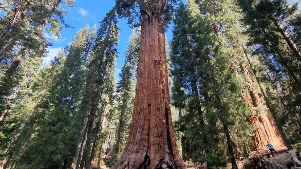 Kalifornský národní park Sequoia