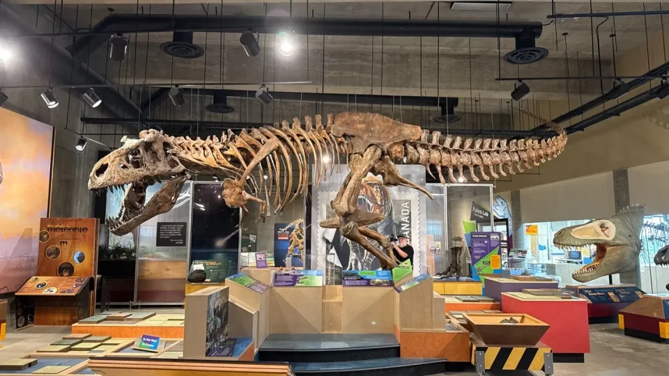 Fotr na tripu 10, dinosauři