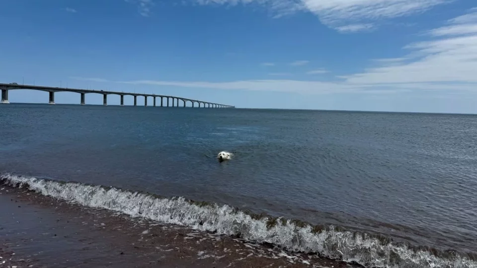 Fotr na tripu 10, Ostrov prince Edwarda