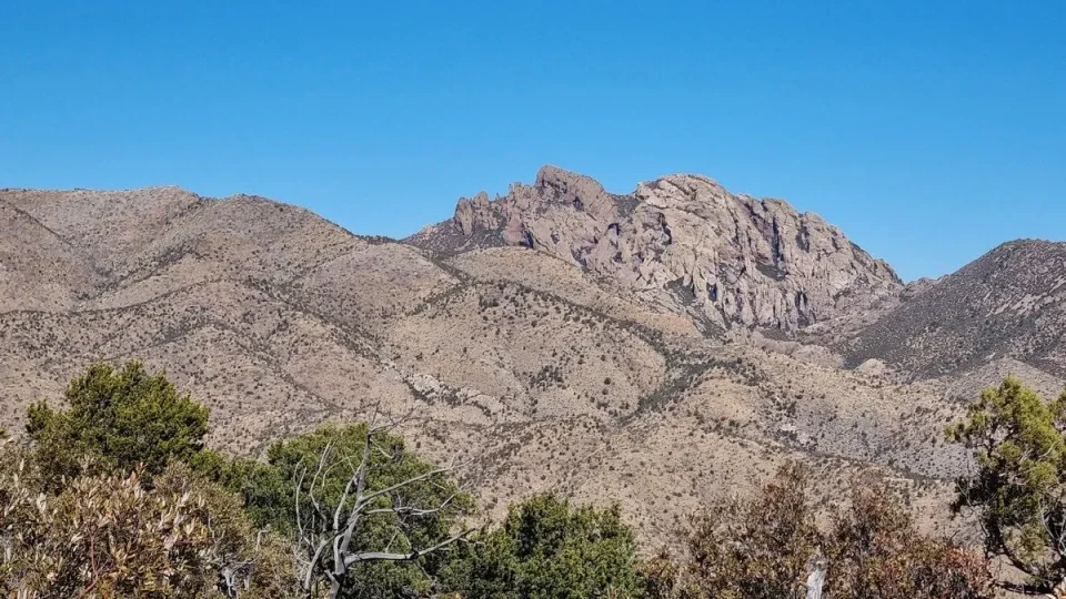 Chiricahua