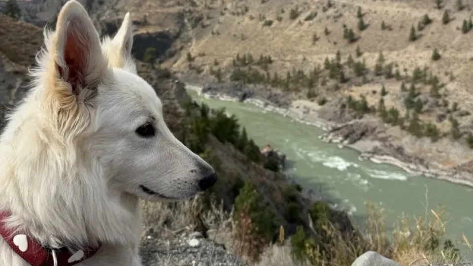 Fotr na tripu 10, Alberta vs Kolumbie