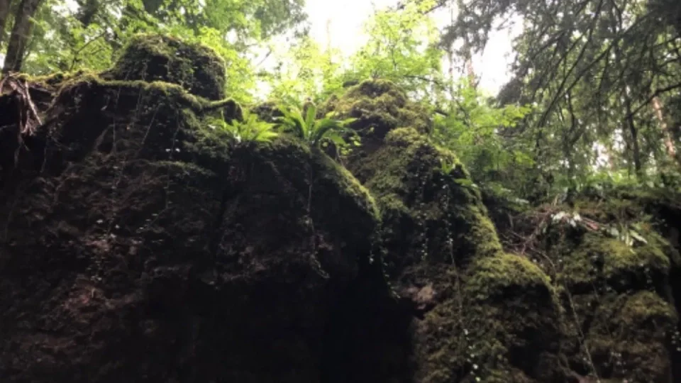 Hikerské dobrodružství v Británii 8