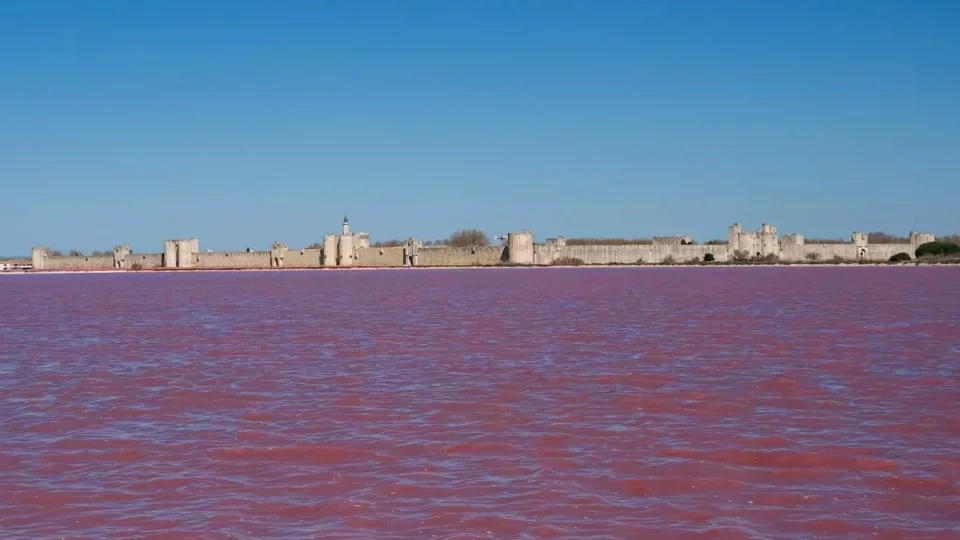 Ford trip, Camargue