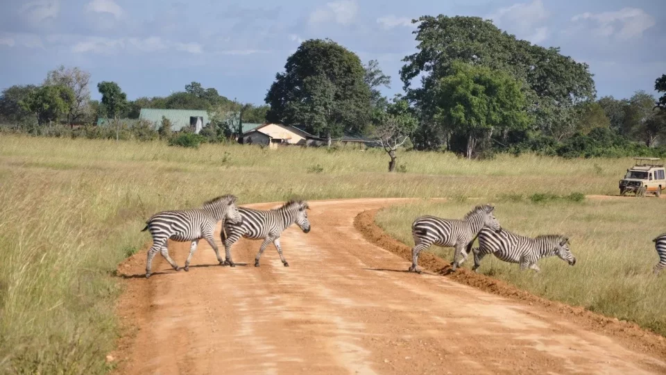 Safari v srdci Afriky