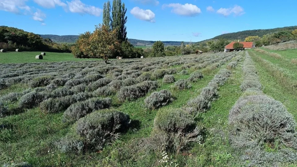 Balaton na gravelu