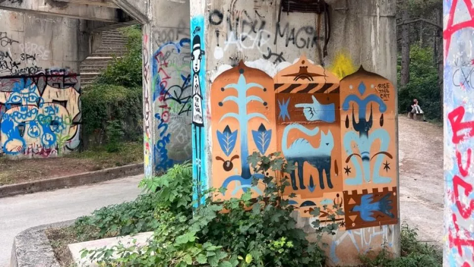 Fotr na tripu 8, Bosna