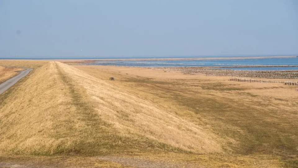 Subaru trip Dánsko, Romo, Mando