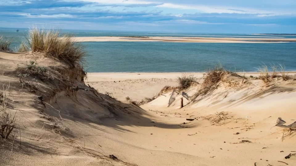 Ford trip, Duna du Pyla