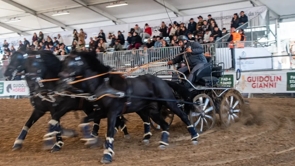 Fieracavalli 2025