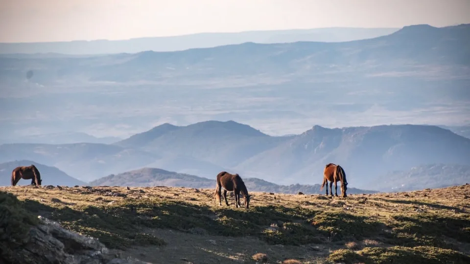 Dacia Bigster, trip Itálie, Bruncu Spina