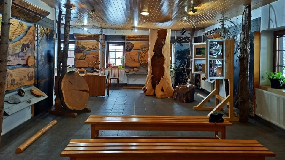 Zimní Šumava