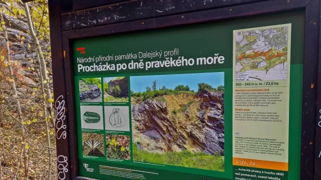 Projít se po dně pravěkého moře mohou zájemci i v Česku. Někteří ho mají za domem, jen to neví