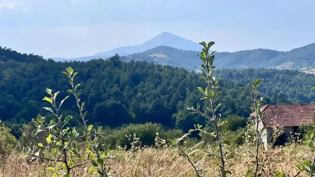 Zapomeňte na Drákulu, skutečného upíra jsme našli v Srbsku
