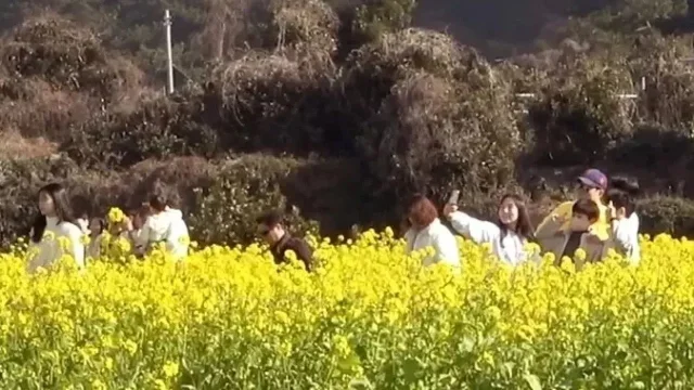 Tisícovka za fotku v řepce. Fotr našel místo, kde turisté na řepku nenadávají, ale ochotně platí