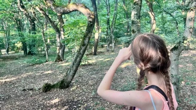 Rumunský bermudský trojúhelník. Ve strašidelném lese mizí lidé a vyfotili tu také UFO