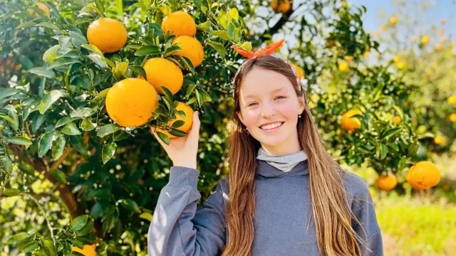 Jeju je ostrov mandarinek. Fotr tady ochutnal nejlepší citrusy na světě