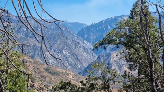 Kalifornie a národní park Kings Canyon: O nádherné přírodě, setkání s medvědem a hloupých turistech