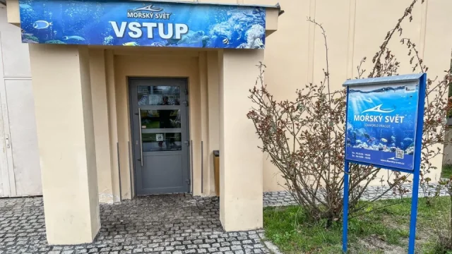 Tisíc korun za vstup, platba pouze hotově a nevelká expozice. Navštívili jsme pražský Mořský svět