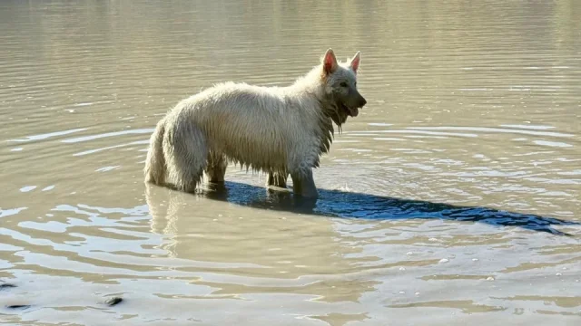 Itinerář Fotra na tripu 10, osmý díl: Dawson City aneb zlatá horečka na vlastní kůži