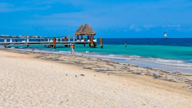 Playa del Carmen, nebo Puerto Morelos? Dvě tváře mexického Karibiku, které dělí jen pár kilometrů