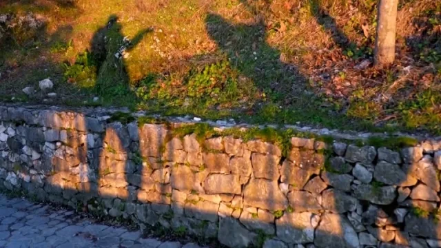 Fotra na cestách neustále provází tajemný stín. Prozradíme, o koho jde