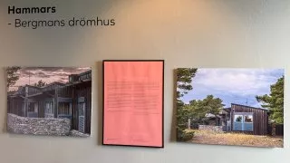 Fotr na tripu 9, Fårö