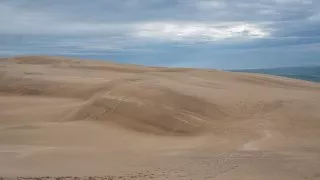 Ford trip, Duna du Pyla