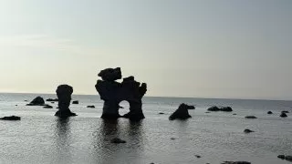 Fotr na tripu 9, Fårö