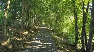 Inline Bockl-Radweg
