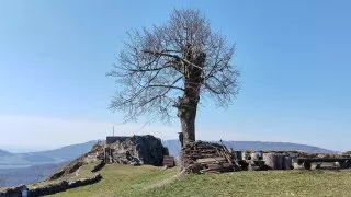 Zřícenina Kalich