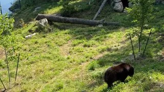 Fotr na tripu 10, Parc Omega