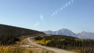 Fotr na tripu 10, medvědi