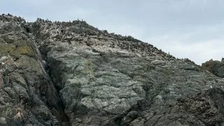 Fotr na tripu 10, velryby