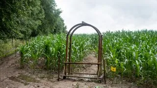 Trip Drawsko, Palác Siemczyno