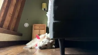 Fotr na tripu 11, Bruggy