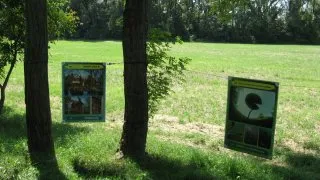 Žitný ostrov na kole